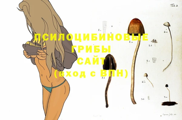 Альфа ПВП Алексин