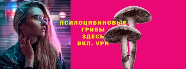 первитин Абинск