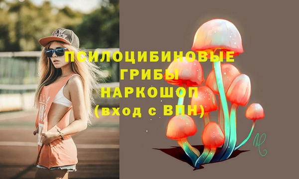 Альфа ПВП Алексин