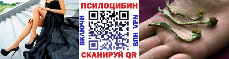 как найти закладки  Фёдоровский  Галлюциногенные грибы Psilocybine cubensis 